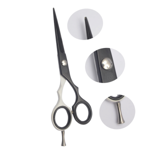 Professional Hair Cutting Scissors