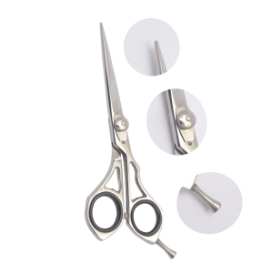 Professional Hair Cutting Scissors